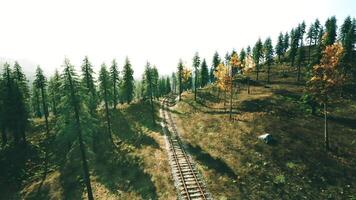 CGI Scenic railway tracks through lush forest landscape during daytime video