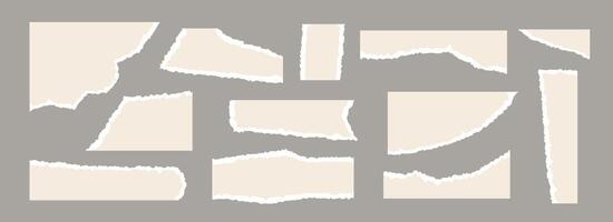 Light beige torn paper pieces set. Ripped paper sheet strips collection. Shapes and elements with jagged uneven edges for collage, text box, banner, sticker, poster. Cardboard texture fragments vector