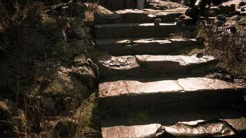 CGI Natural stone steps leading through a scenic outdoor path video