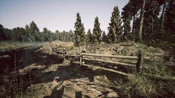 CGI Wooded landscape with a fenced path leading through pine trees video