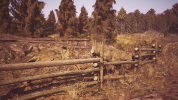 CGI Wooden fence in a serene forest landscape during golden hour video