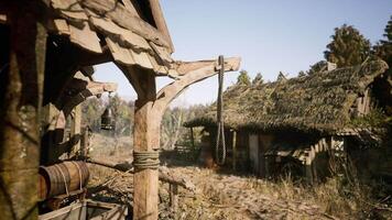 CGI Rustic village setting featuring a thatched roof house and a hanging rope video