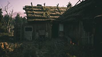 CGI Rustic abandoned cabin surrounded by nature at dusk video