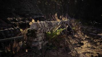 CGI Old stone wall overgrown with plants in a quiet, forgotten area video