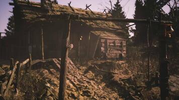 CGI Rustic wooden cabin surrounded by nature with a dirt pathway in daylight video