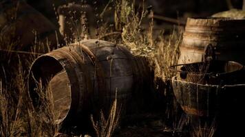 CGI Weathered barrels in a rustic landscape evoke a sense of history and nostalgia video