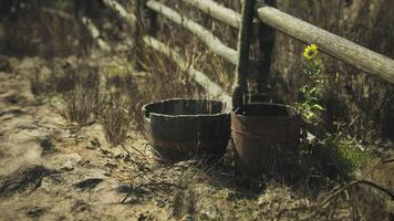 CGI Natural scene with wooden fence, sunflowers, and rustic buckets in a field video