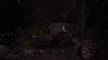 CGI Rustic wooden barrels and tools in a dark forest clearing at dusk video