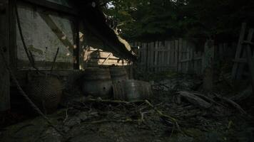 CGI Rustic scene with barrels and wooden fences in a quiet, overgrown area video