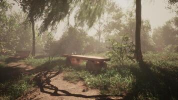 CGI Serene park area with wooden benches surrounded by lush greenery video