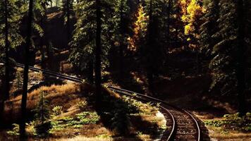 CGI Winding railway track through a serene forest during autumn video