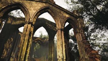 CGI Ancient architectural ruins nestled among trees under a cloudy sky video