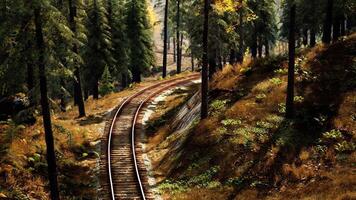 CGI Railway tracks winding through a serene forest landscape in autumn video
