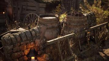 CGI Old barrels rest against a rustic stone wall in a serene outdoor setting video