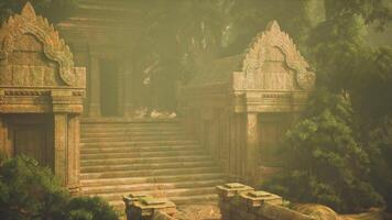 CGI Ancient temple ruins nestled in dense foliage during the early morning video