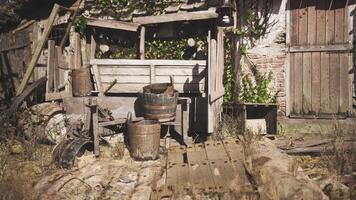 CGI Weathered wooden shed with barrels and tools in overgrown garden setting video