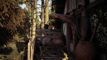 CGI Rustic wooden shed surrounded by lush greenery and tall trees video