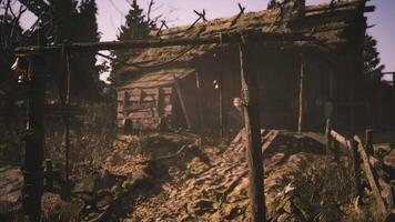 CGI Rustic abandoned cabin surrounded by overgrown vegetation during daylight video