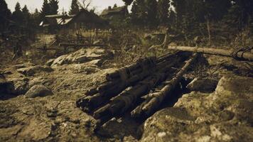 CGI Landscape featuring wooden logs and rustic dwellings in a forest video