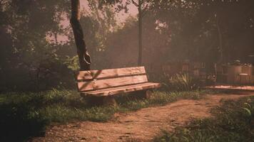 CGI Relaxing park bench in a serene garden setting during golden hour video