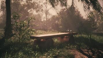 CGI Peaceful wooden bench surrounded by greenery in the soft morning light video