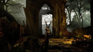 CGI Mystical forest ruins with a deer skull in a captivating atmosphere video