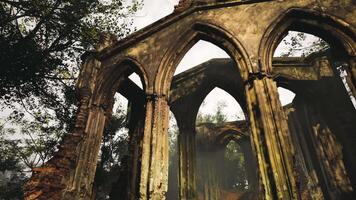 CGI Ruins of stone archways surrounded by overgrown greenery in a misty setting video