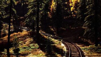 CGI Serene winding train tracks through a tranquil forest in autumn video