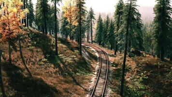 CGI Train tracks winding through a serene forest during early morning light video