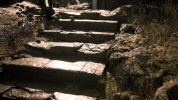 CGI Steep and weathered stone steps in a rural outdoor setting video