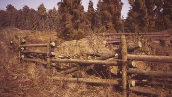 CGI Rustic wooden fence surrounded by dry grass in a forest clearing video