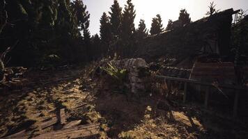 CGI Ruins of an old structure surrounded by trees at sunset on a quiet path video