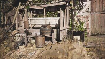 CGI An abandoned wooden structure surrounded by overgrown vegetation video