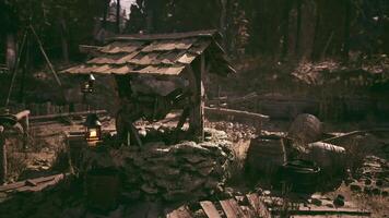 CGI Old rustic well in an overgrown forest clearing surrounded by nature video