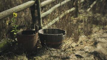 CGI Old wooden buckets beside a weathered fence in a natural setting video