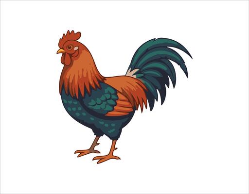 Collection of chicken birds. A set of poultry clips. illustrations featuring domestic chickens against a white backdrop. Isolated cartoon chick.