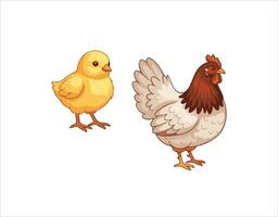 Group of poultry birds. A set of chicken clips. Illustrations of domestic chickens on a plain white background. A standalone cartoon chick. vector