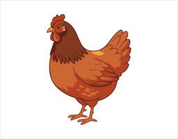 A collection of chicken birds. Set of poultry illustrations. images of domestic chickens on a white background. Cartoon chick by itself. vector