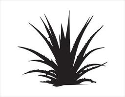 A black outline sketch of an aloe plant set against a white backdrop vector