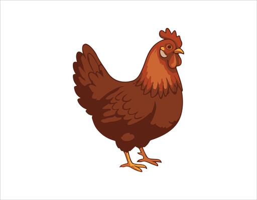 Chicken bird collection. Poultry clip set. drawings of domestic chickens on a white background. Isolated cartoon chick.