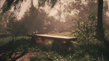 CGI Tranquil wooden bench in a serene forest clearing at sunset video