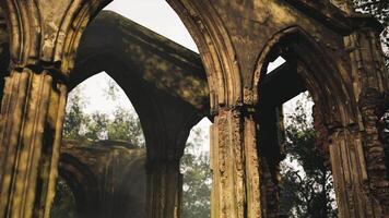 CGI Ruins of ancient structure bathed in soft light surrounded by trees video