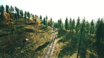 CGI Tracks winding through a serene forest in autumn light under clear sky video