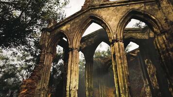 CGI Ruined gothic architecture amid trees during a misty daylight video