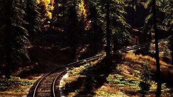 CGI Scenic railway winding through lush forest in autumn light video