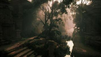 CGI Sunlight filters through trees in ancient forest setting near water video