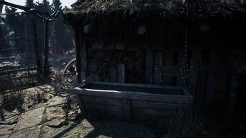 CGI Old wooden cabin with straw roof in an overgrown forest clearing video