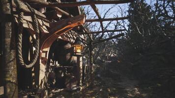 CGI Lantern hanging outside a rustic cabin surrounded by dense trees video