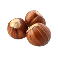 Three hazelnuts in shell isolated on transparent background png