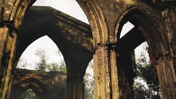 CGI Exploration of weathered stone ruins amidst lush greenery under soft light video